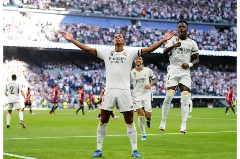 بيلينجهام وفينيسيوس